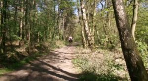 Ausritt mit Freunden.