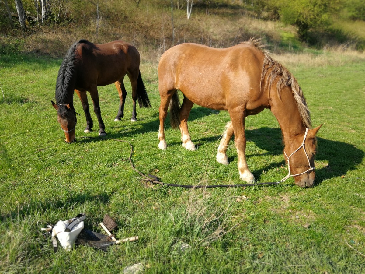 Gross-Jena Ruhe Tag&nbsp;18.05.2019