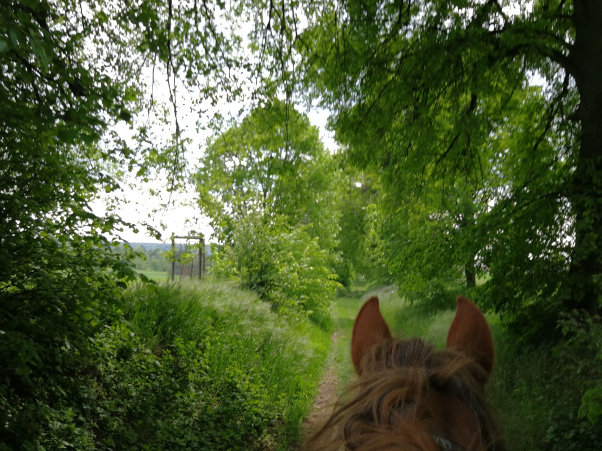 Start mit Verspätung am&nbsp;15.05.2019