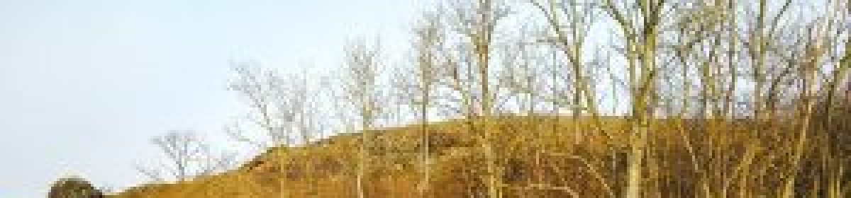 Welche Arten von Anforderungen gibt es?&nbsp;03.02.2024