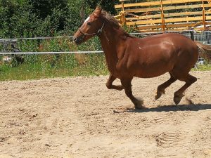 Die schräge Praxis neue Einsteller zu gewinnen&nbsp;25.03.2024