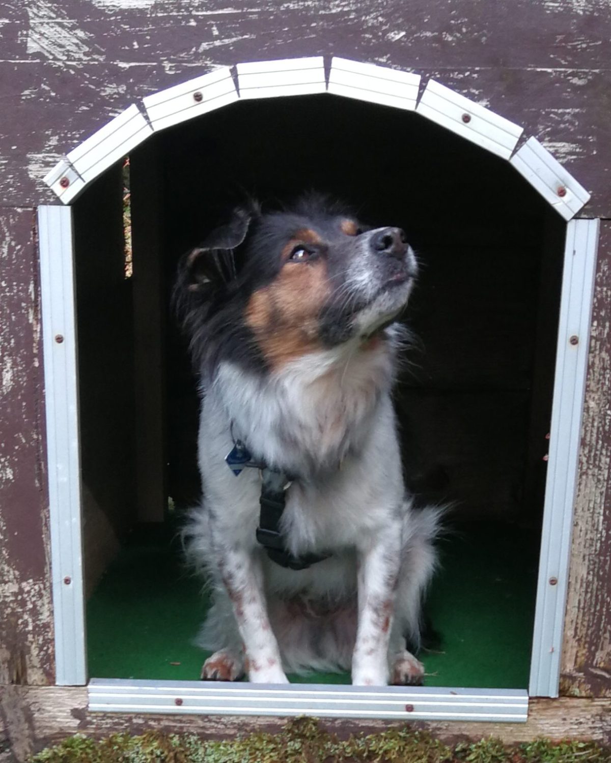 Sammy der Tour&nbsp;Verhinderer.