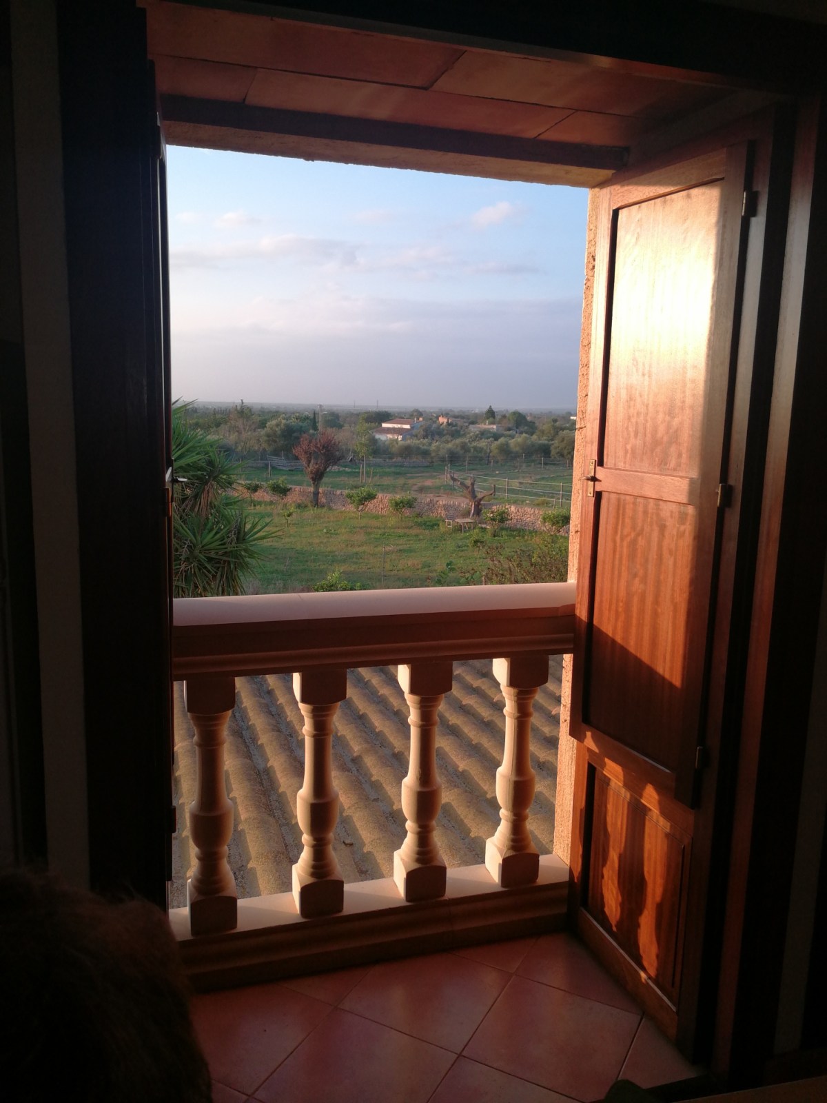 Can Paulino Reiten (Mallorca Oktober/November 2017)