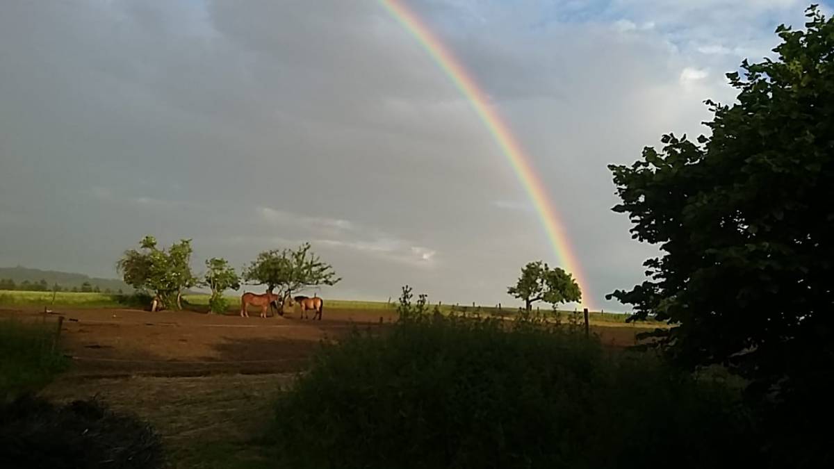 Von Steinbach Hadamar nach Ruppenrod Pferdepension&nbsp;13.06.2019