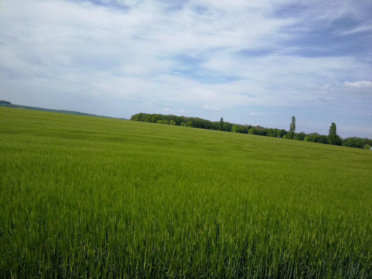 Auf nach Apolda 20.05.2019 (17km, stimmt&nbsp;das?)