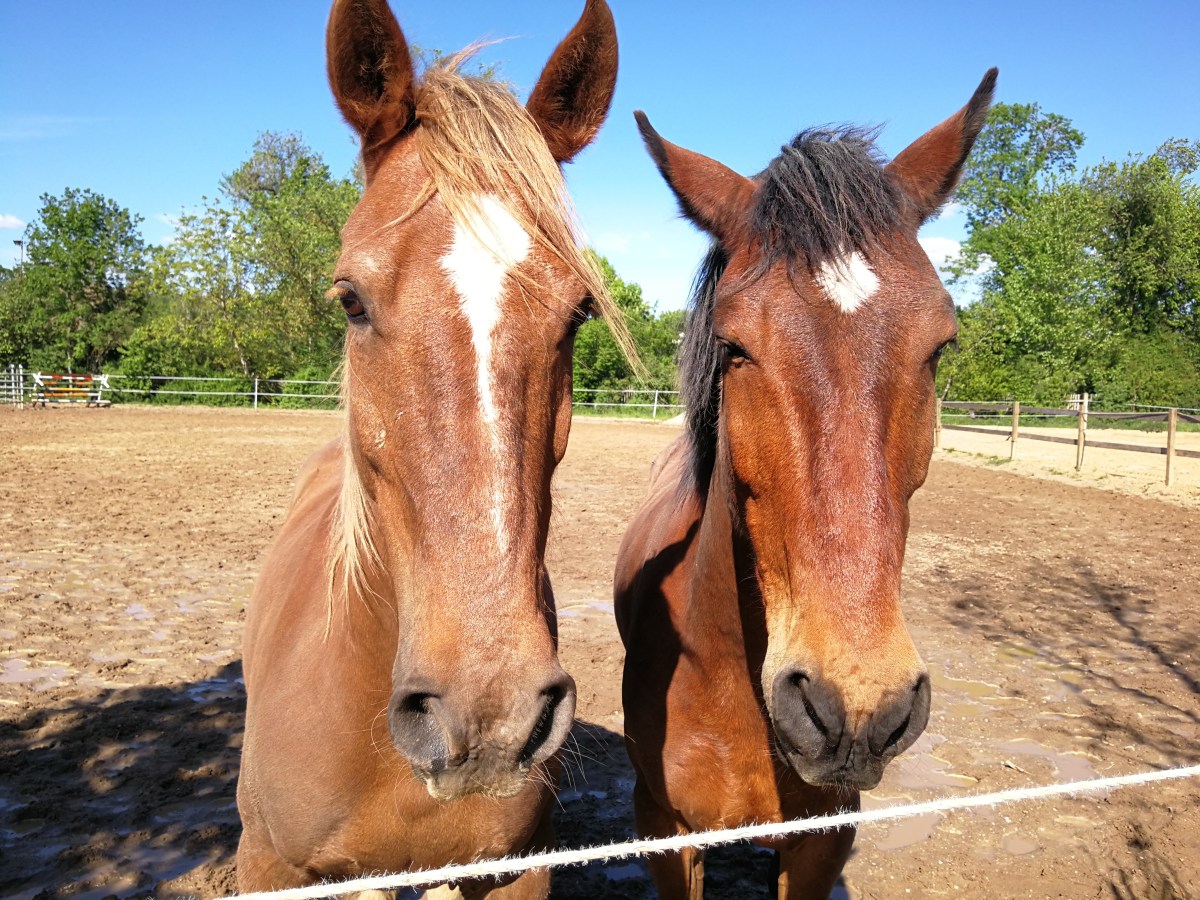Es wird ernst! Die letzten Reisevorbereitungen werden getroffen. (9.05.2019 bis&nbsp;11.05.2019)