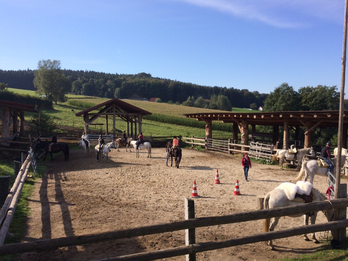 Bayrisch urgmütlich, schnippisch beim Habereder (Frühjahr 2016, 4mal vor&nbsp;Ort)