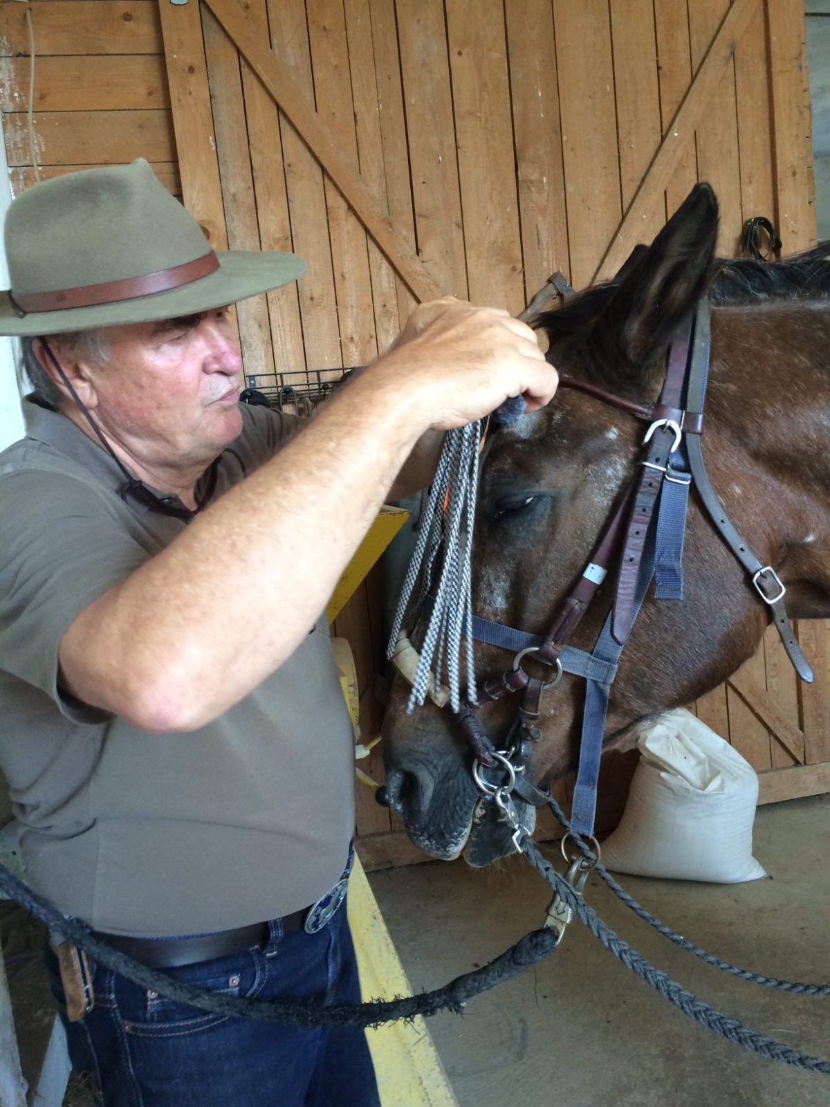 Fahring in Bayern (September&nbsp;2016)