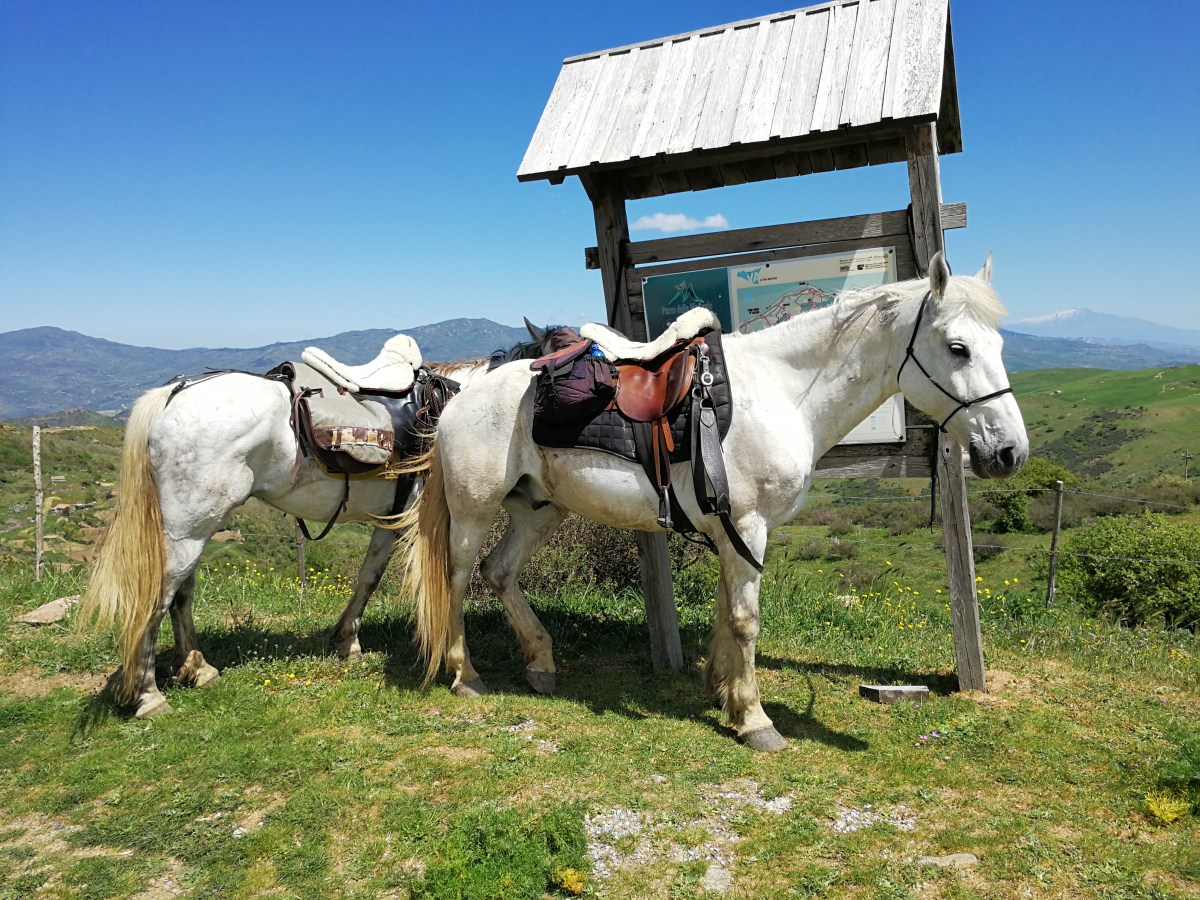 Sizilien – Etna Reit-Tour (April, Mai&nbsp;2017)