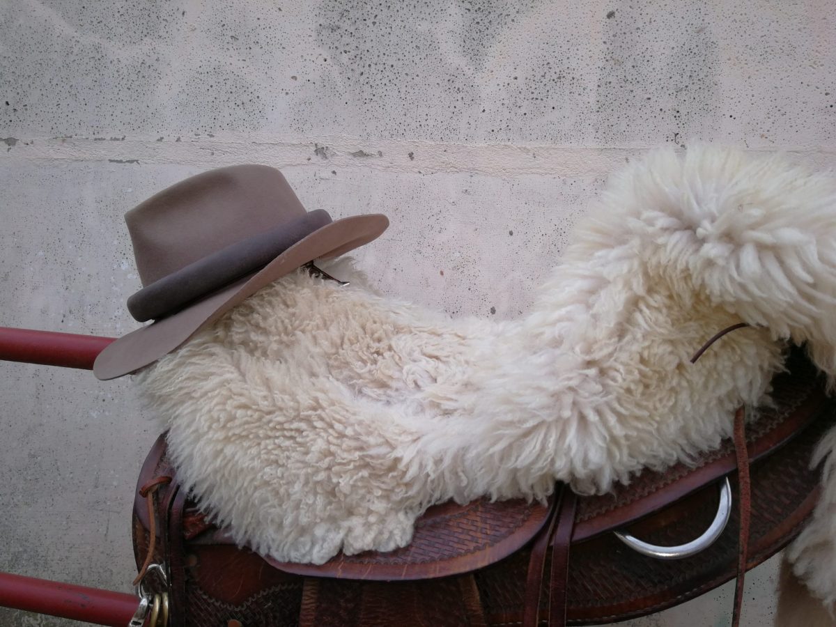 Reparatur eines Sattels und Nähen einer Sattelauflage 01.02.2020 bis&nbsp;10.02.2020