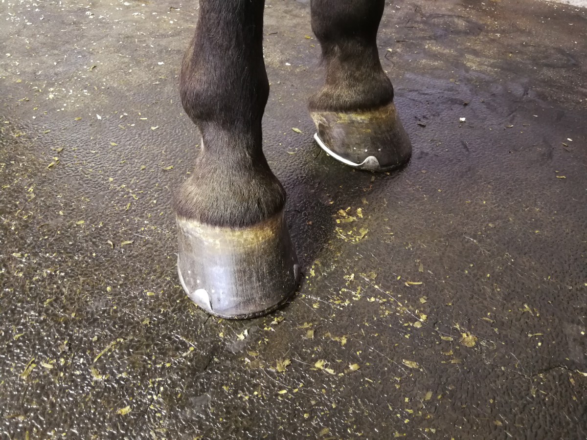 Meine Hotties sind beschlagen&nbsp;27.06.2019