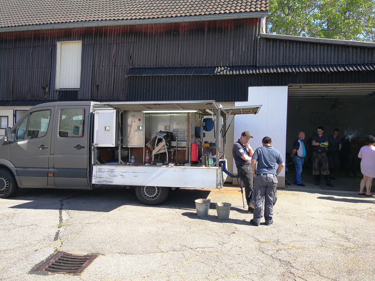 Hallo, wollt ihr den Beruf des Hufschmieds erlernen? So&nbsp;geh’s.