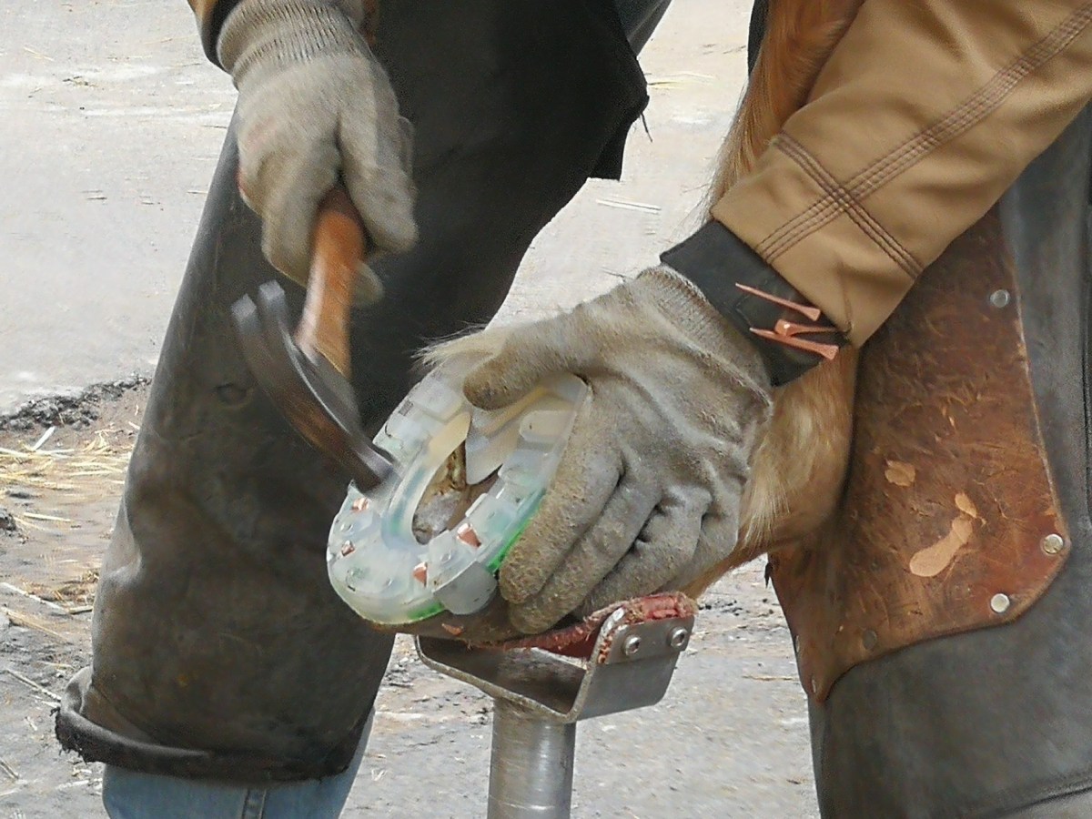 Kunststoffbeschlag für Keks und Krümel am&nbsp;4.05.2019