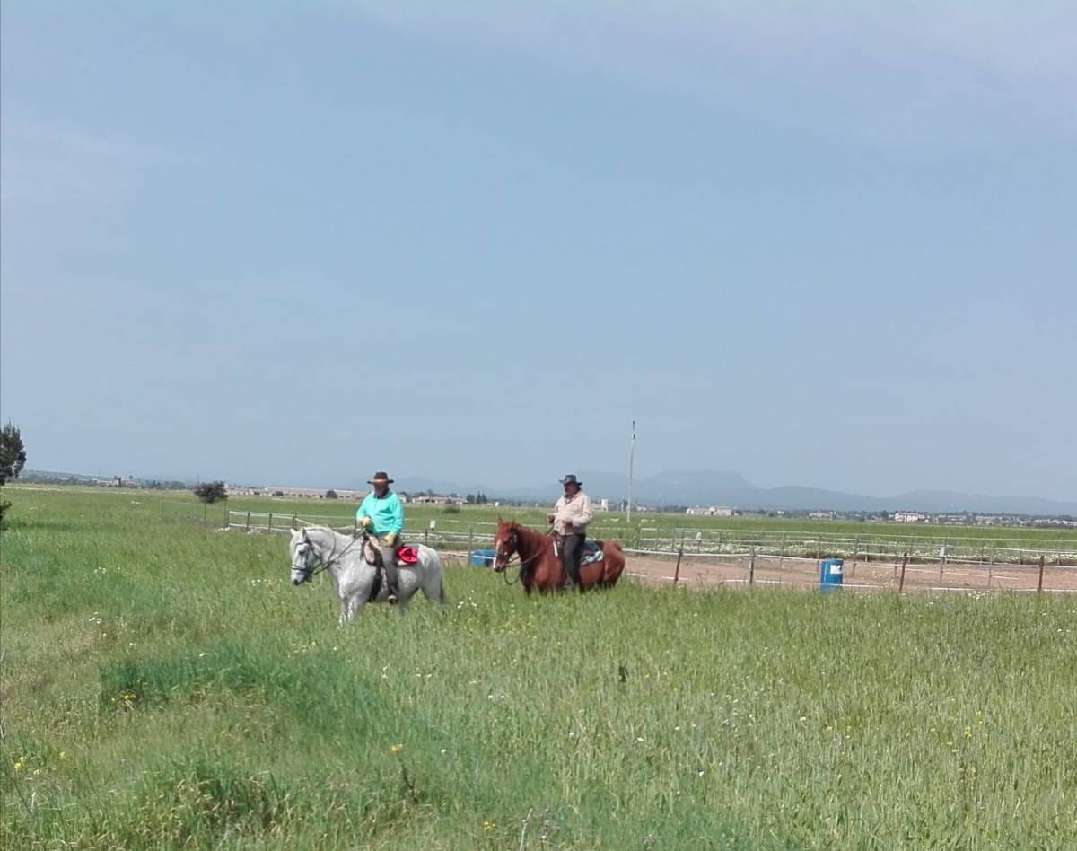 Keks und Krümel im Belastungstest, zuerst 18km und tags darauf 9km (28.03.2019 –&nbsp;31.03.2019)