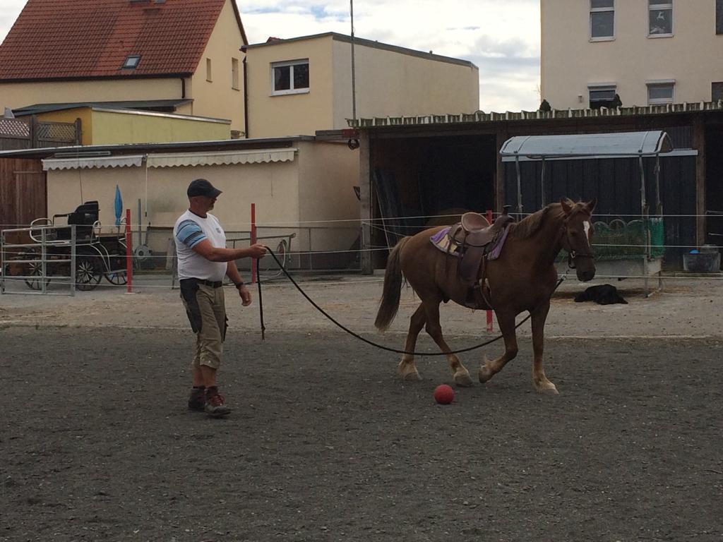 Die Zeit flieg 19.09.2019 bis&nbsp;20.10.2019