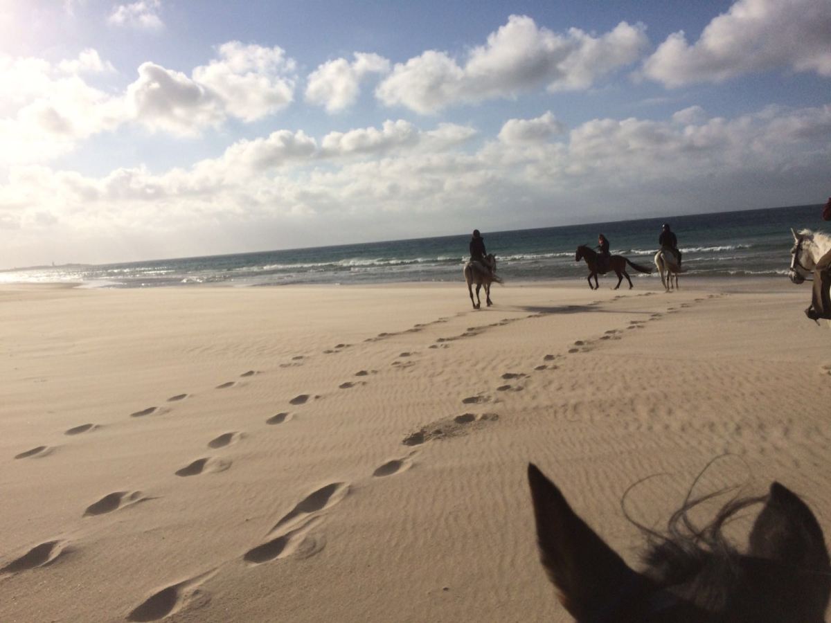Reiten in Spanien Tarifa, (Dezember 2016, Januar 2017) ein toller Reitstall nahe dem&nbsp;Strand