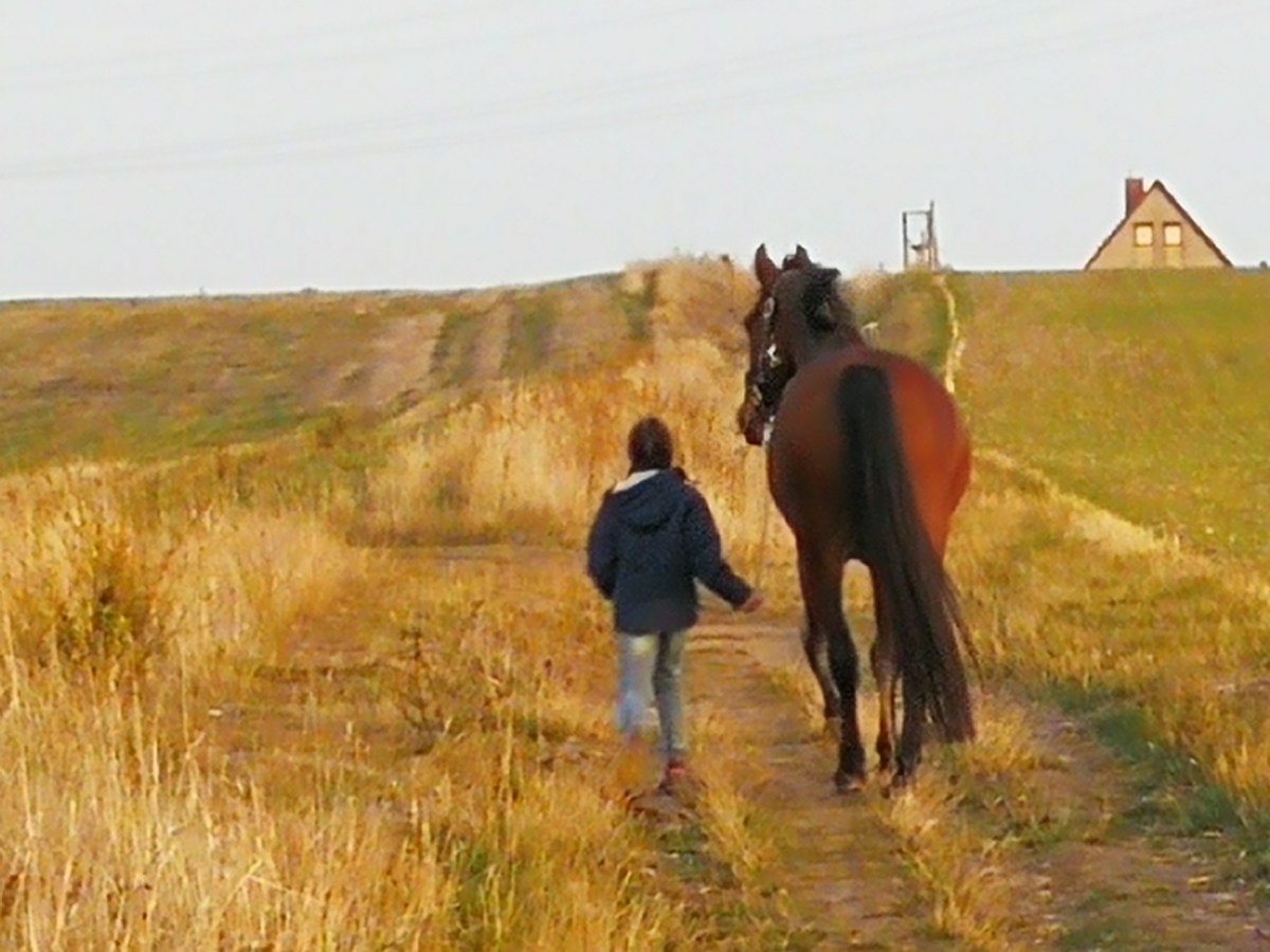 30 Tage Keks und Krümel in Deutschland (28.10.2018 bis&nbsp;4.11.2018)