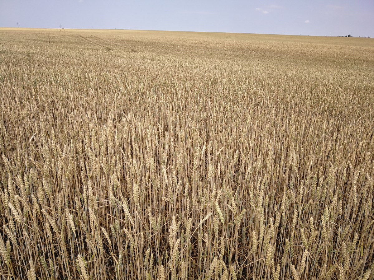 Zwangspause, da die Pferde neue Hufeisen brauchen 16.06.2019 bis&nbsp;27.06.2019