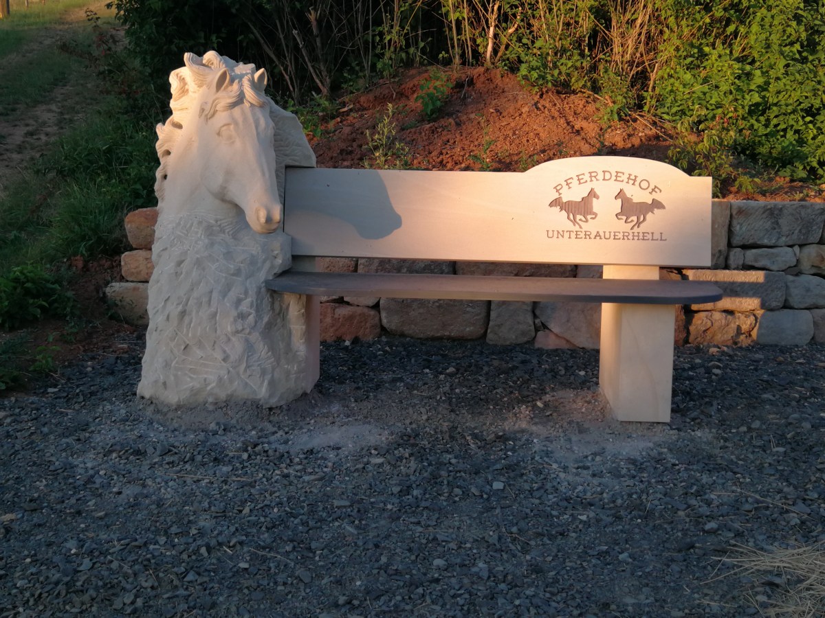 Keks und Krümel sind zurück im Heimatstall&nbsp;3.07.2019