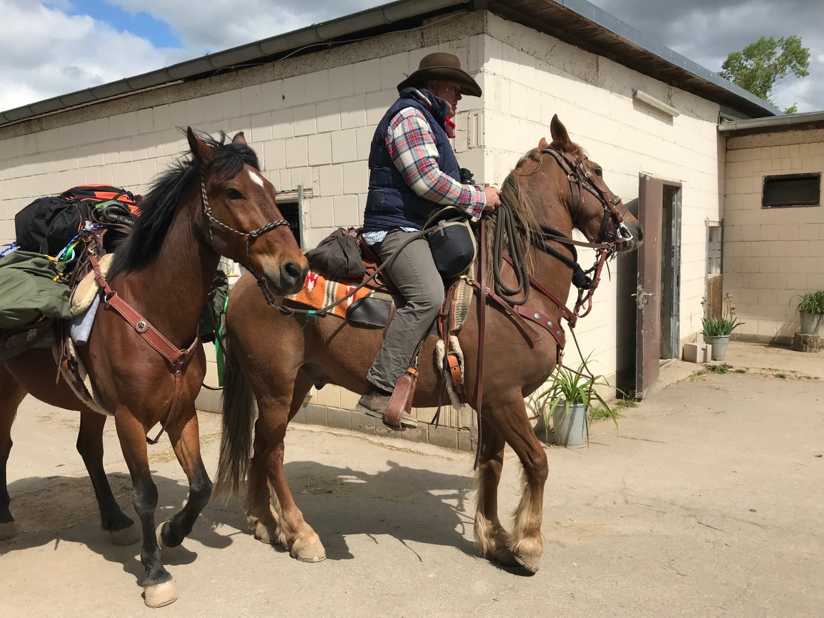 Keks und Krümel gehen mit mir auf die Reise.&nbsp;(14.05.2019)