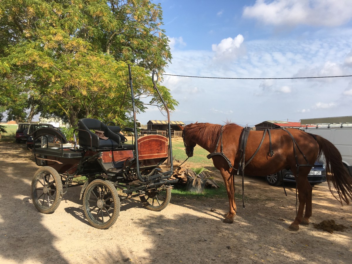 Mallorca Ende Oktober&nbsp;2017