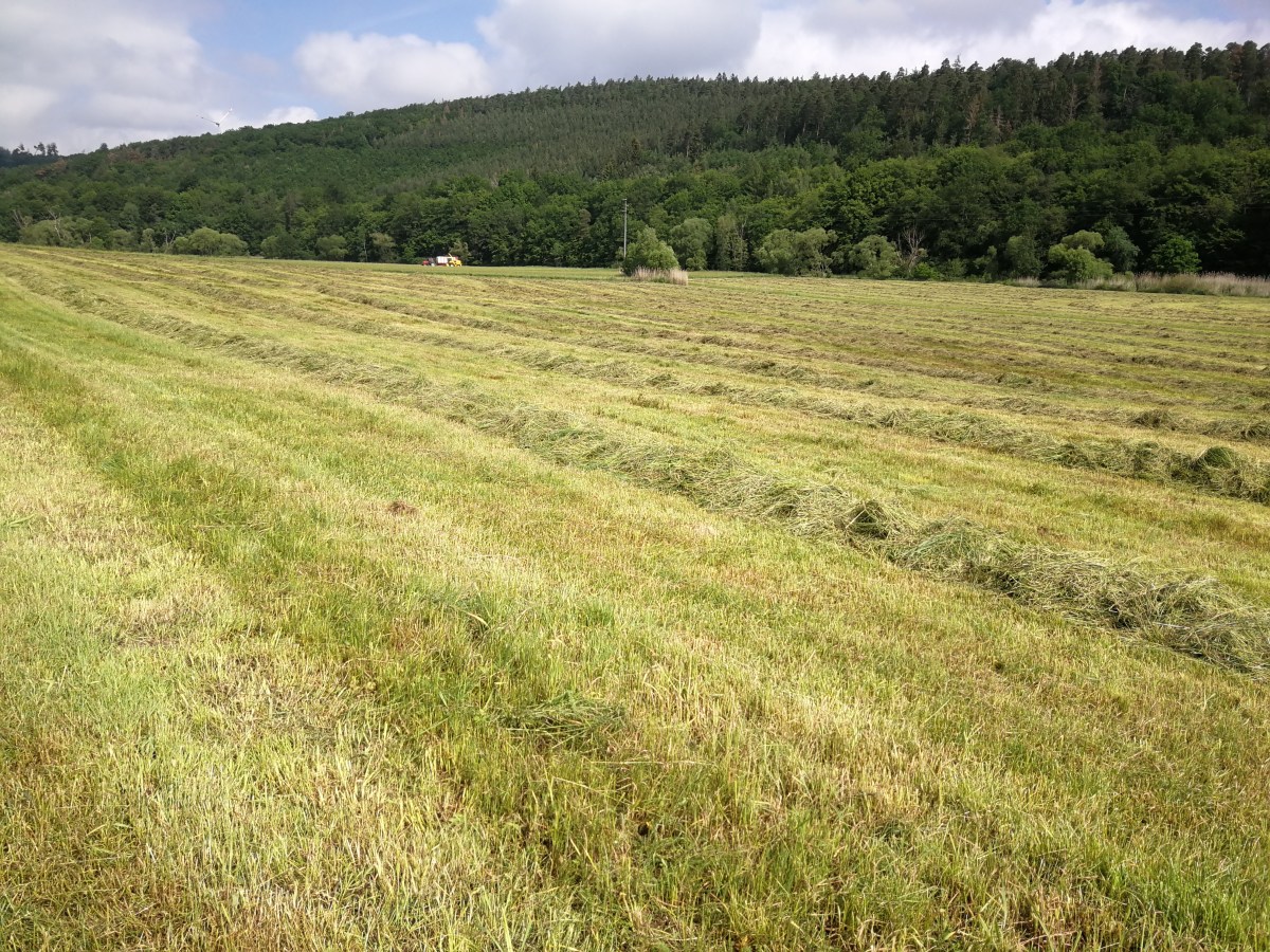 Bad Salzschlirf nach Ulrichstein 7.6.2019&nbsp;30km