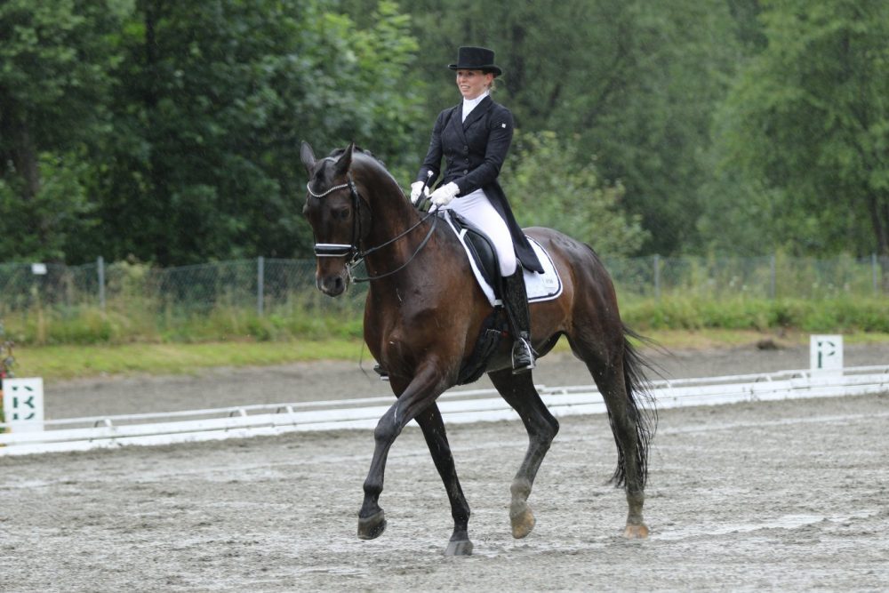 Vertrauensbildende Maßnahmen. Täglich vor Ort und immer Leckerli in der Tasche. (21.12.2018 bis&nbsp;30.12.2018)