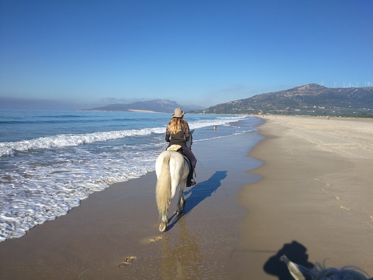 Tarifa bei Klaartje&nbsp;(2017/2018)