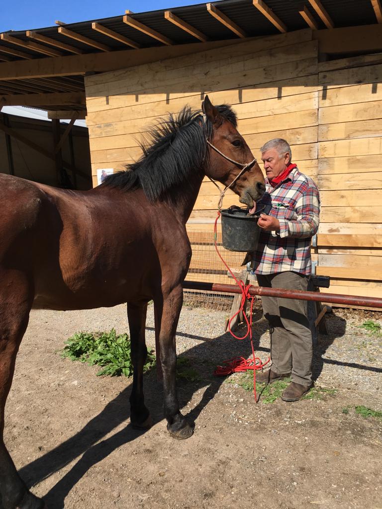 Reise Salzburg nach Dörrensolz über Meiningen&nbsp;2.06.2019