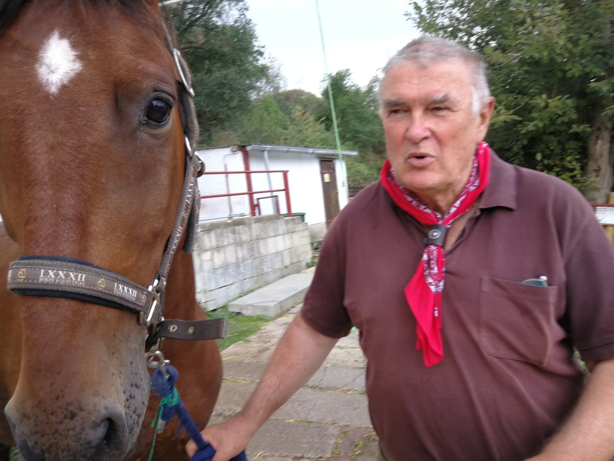 Keks und Krümel sind wieder fit, werden fleißig trainiert 15.08.2019 bis&nbsp;18.09.2019