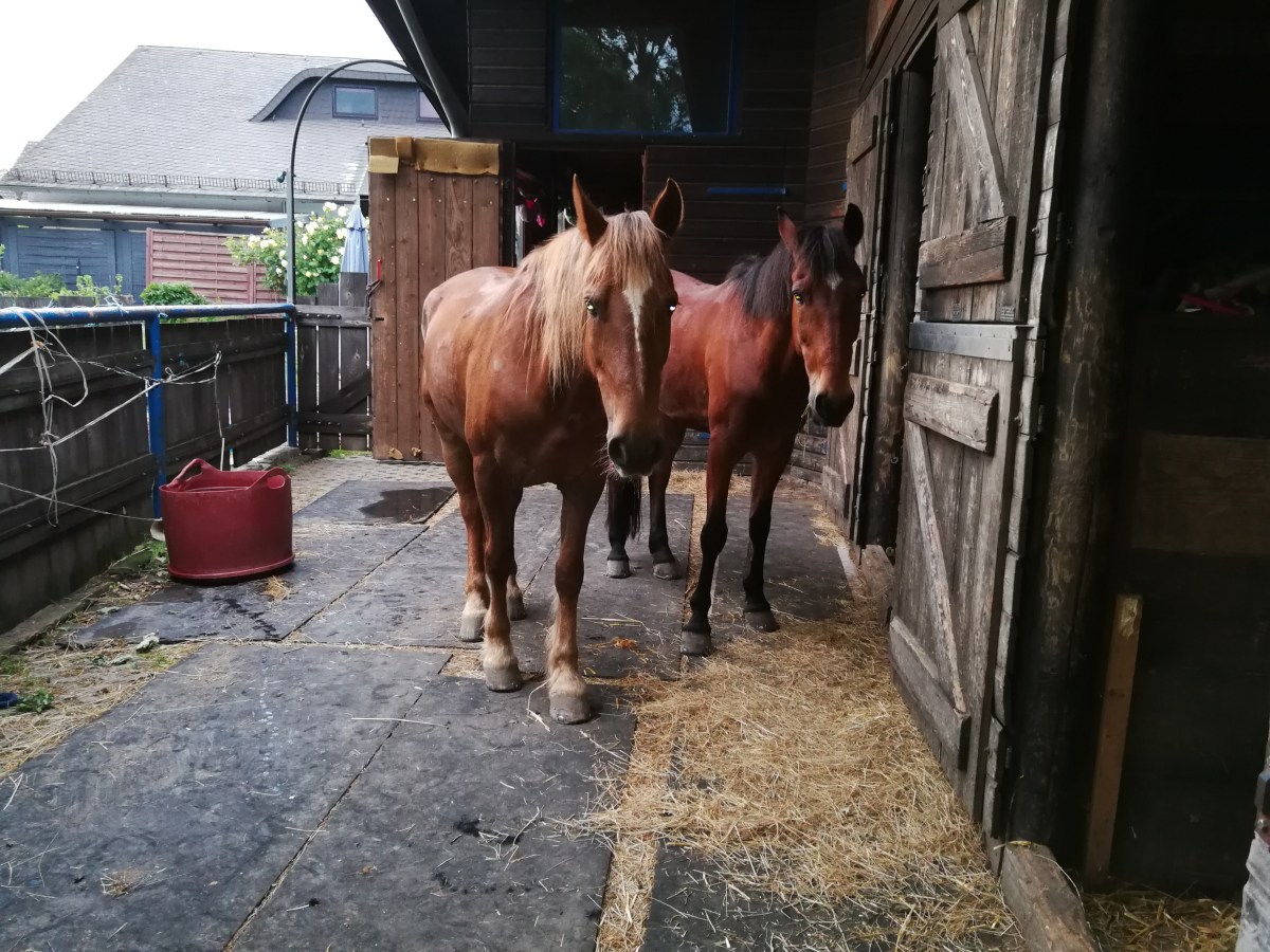 Von Oberwetz nach Drommershausen 11.06.2019 ca. 30 km mit all meinen&nbsp;Umwegen