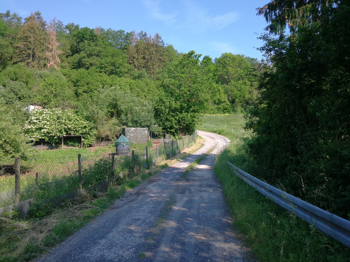 Von Lich nach Oberwetz&nbsp;10.06.2019