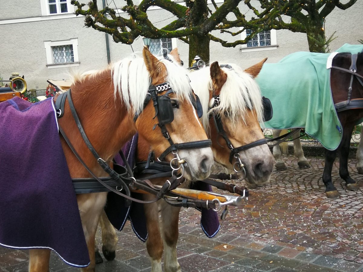 Der Jahreswechsel naht! 11.12.2019 bis&nbsp;23.12.2019