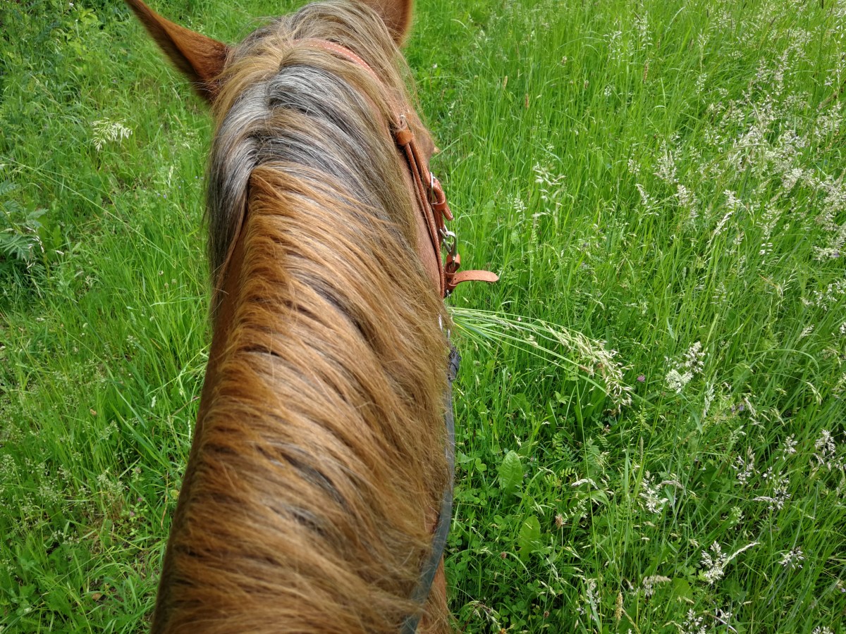 Von Schlitz nach Herbstein, ca. 25km, bin nur nach Bad Salzschlirf gekommen, mehr dazu im Beitrag&nbsp;6.06.2019