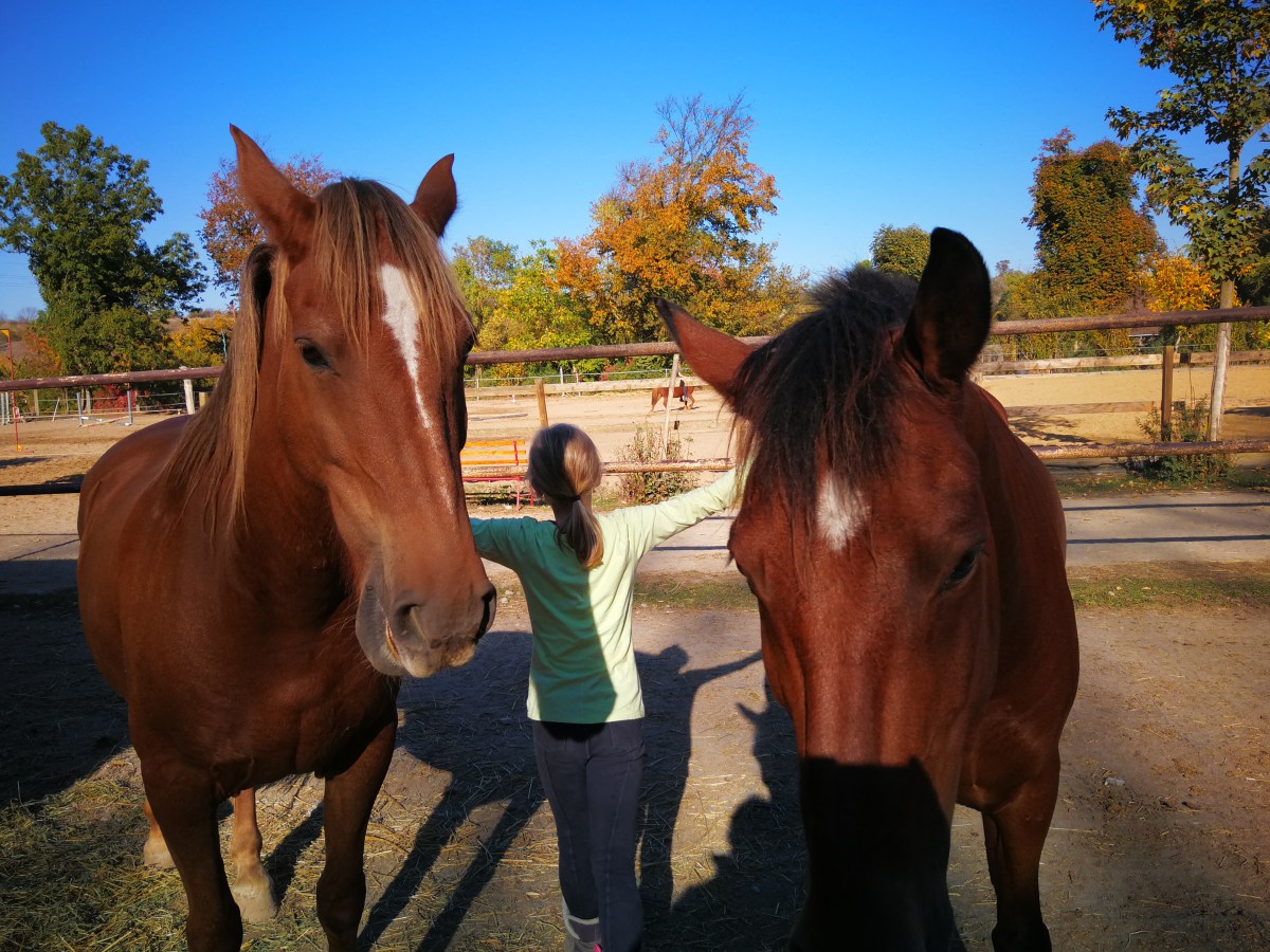 Keks und Krümel in weiteren Belastungs- und Stresstest (01.04.2019 bis&nbsp;14.04.2019)
