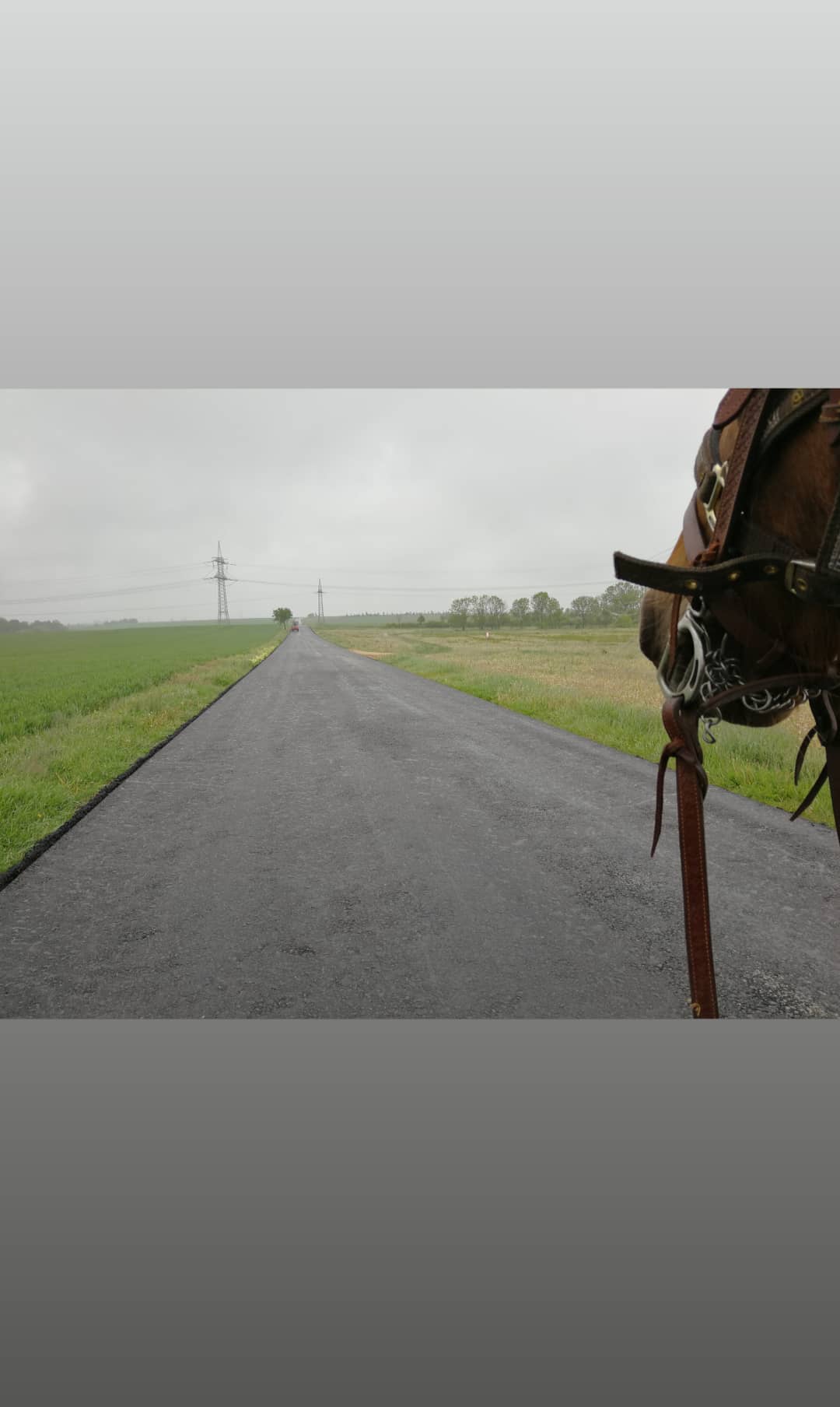 Auf nach Mücheln, 16.05.2019, ca.&nbsp;20km