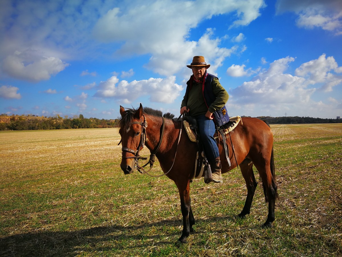 Keks und Krümel im Schlepptau für 18km (14.01.2019 –&nbsp;27.01.2019)