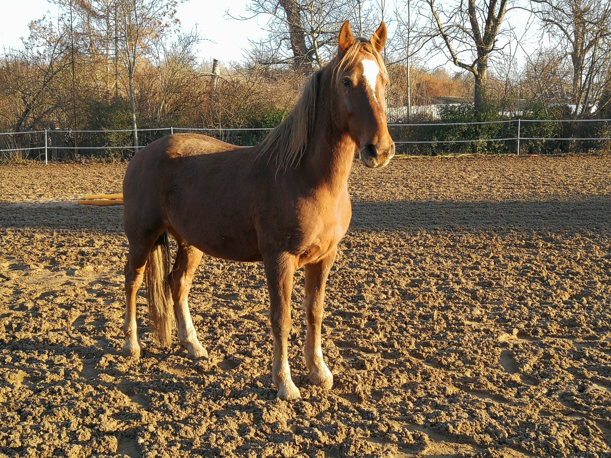 Die Zeit fliegt 16.11.2019 bis&nbsp;30.11.2019