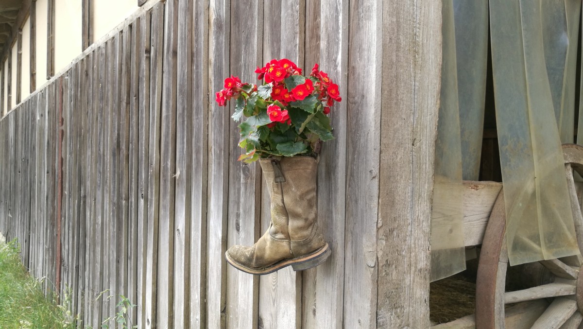 Urlaub auf der M-Ranch 22.06.2024 bis 6.07.2024&nbsp;(12.07.2024)