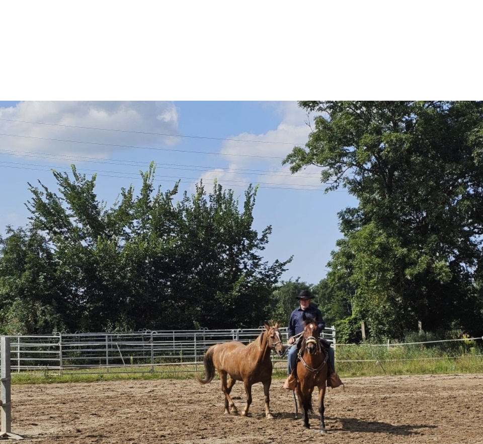Keks und Krümel im täglichen Training am Hof bei Schurig&nbsp;(5.08.2024)
