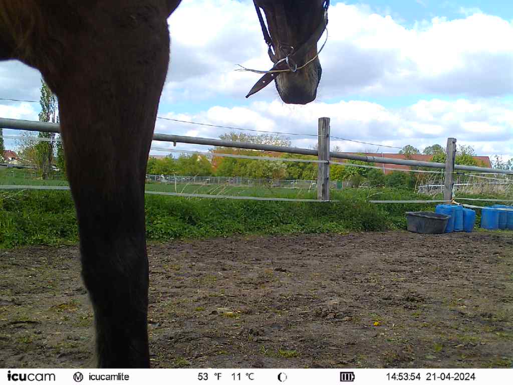 Bestohlen vor einem Jahr (23.04.2024) auf dem Hof von Dr.&nbsp;Gretel